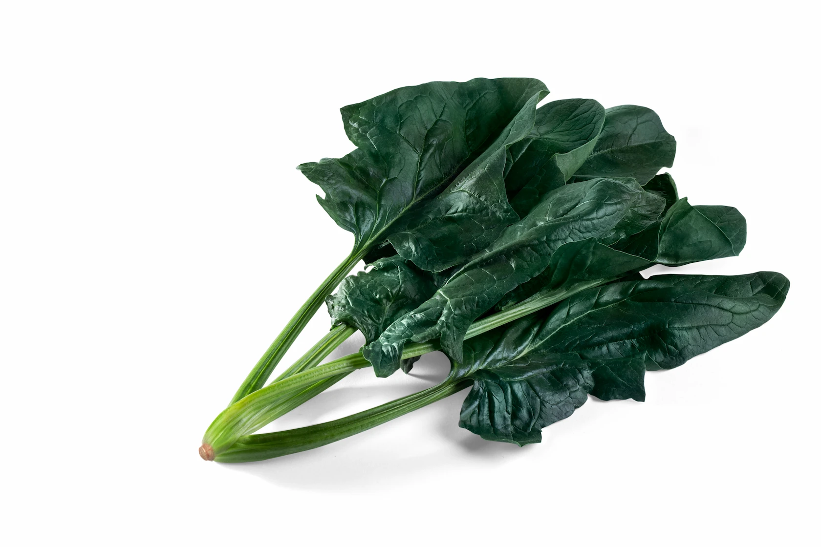 Espinaca Flamingo F1